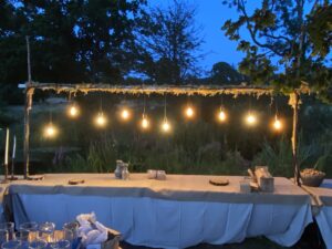 ETS Bespoke Festoon Lighting Night